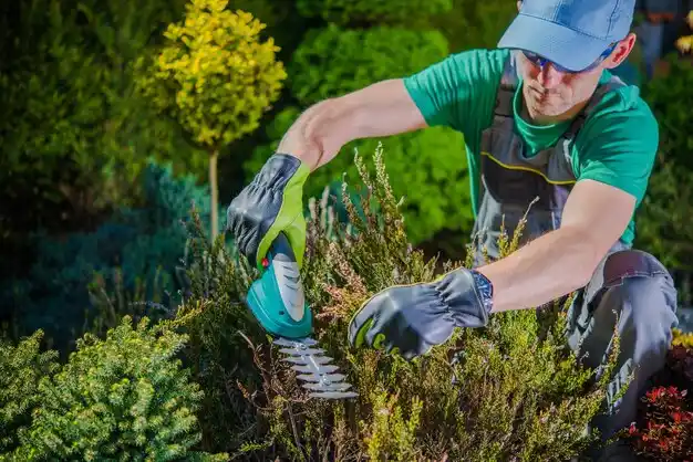 landscaping services Hebron